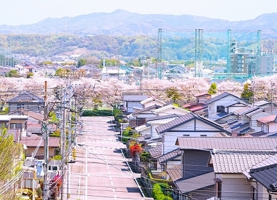 31931623_s.jpg